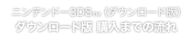 ニンテンドー3DS™（ダウンロード版）ダウンロード版 購入までの流れ